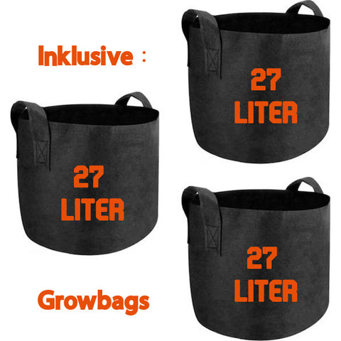 Growbox Komplettset "XL" - The Orange Spot