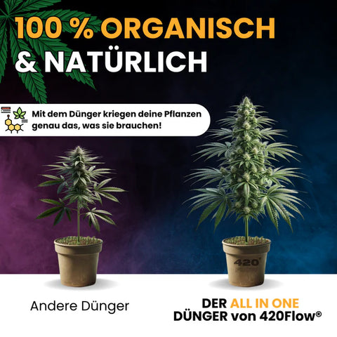 420Flow Organischer Dünger