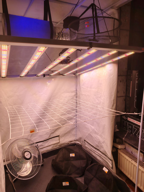 720 MultiSpec - Vollspektrum LED Growlampe - The Orange Spot