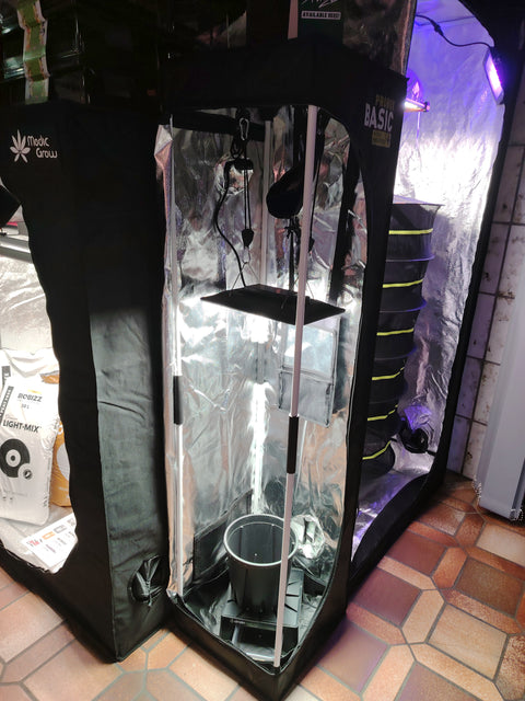Growbox Komplettset - "XS" - The Orange Spot