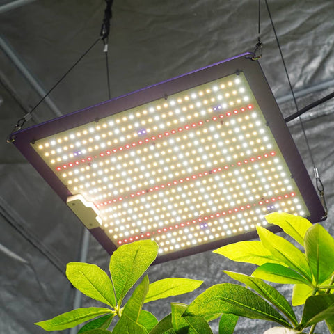 QB240 MultiSpec - Vollspektrum LED-Growleuchte - The Orange Spot