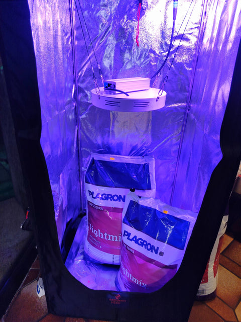 Growbox Komplettset "S" - The Orange Spot