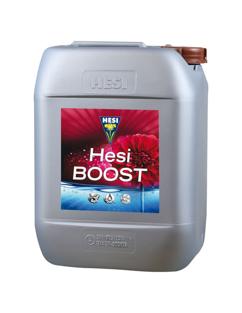 Hesi Boost