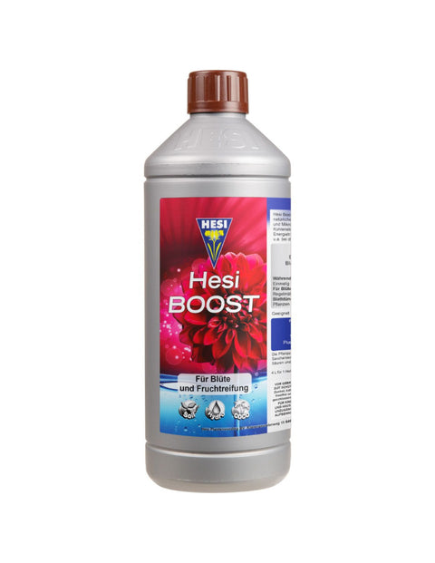 Hesi Boost