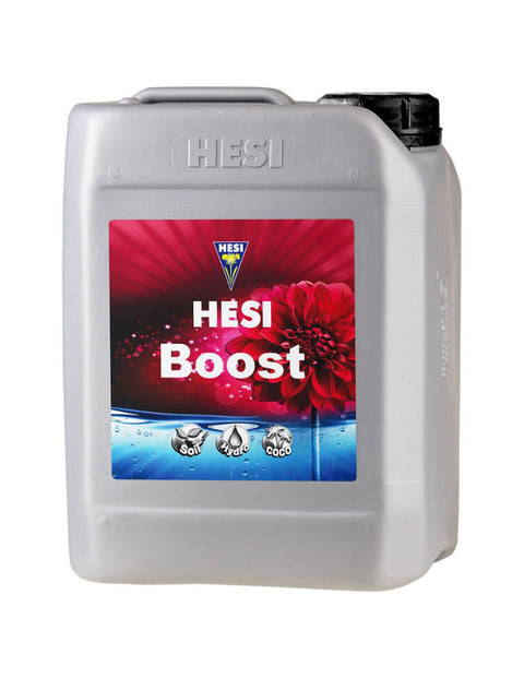 Hesi Boost