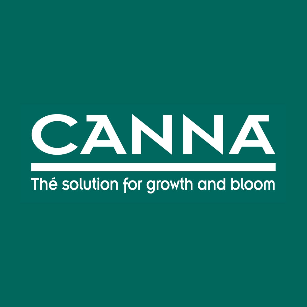 Canna fertilizer