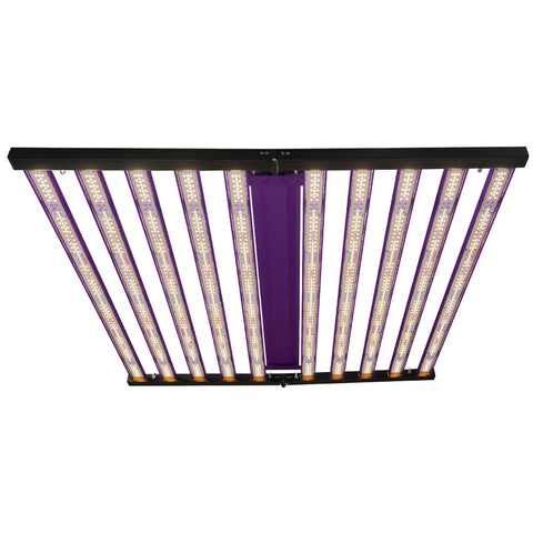 1000-v3 Growlight
