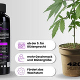 420Flow Booster – Bild 4