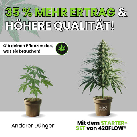 420Flow Booster