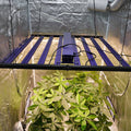 700-V3 - Vollspektrum LED Growlight - The Orange Spot