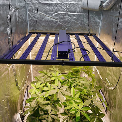 700-V3 - Vollspektrum LED Growlight - The Orange Spot