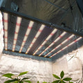 700-V3 - Vollspektrum LED Growlight - The Orange Spot