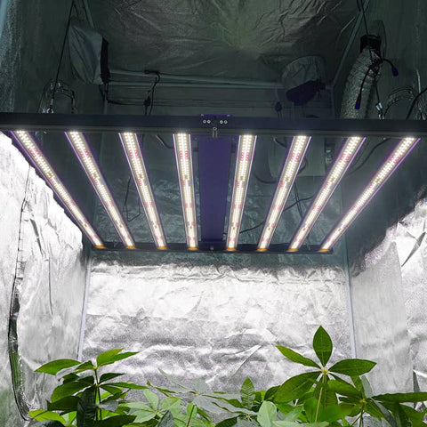 700-V3 - Vollspektrum LED Growlight - The Orange Spot