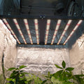 700-V3 - Vollspektrum LED Growlight - The Orange Spot