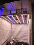 Growbox Komplettset "XXL" - The Orange Spot