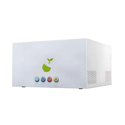 Hazelbeam 3