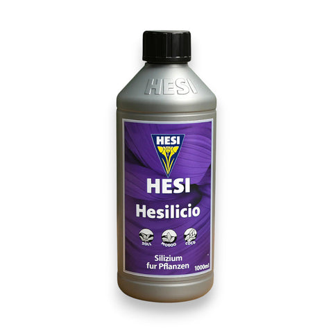 Hesi Hesilico