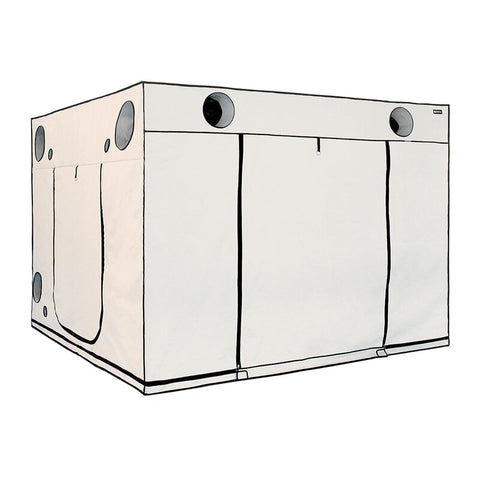 Growbox Homebox Ambient Q300+ - Pflanzzelt