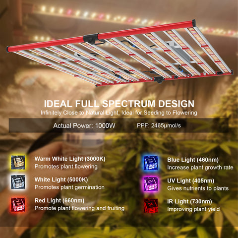 M1000 Square - Vollspektrum LED-Growleuchte - The Orange Spot