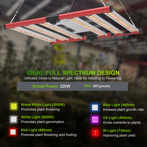M320 Boxy - Vollspektrum LED-Growleuchte - The Orange Spot