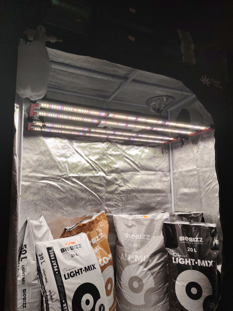 Growbox Komplettset "XL" - The Orange Spot