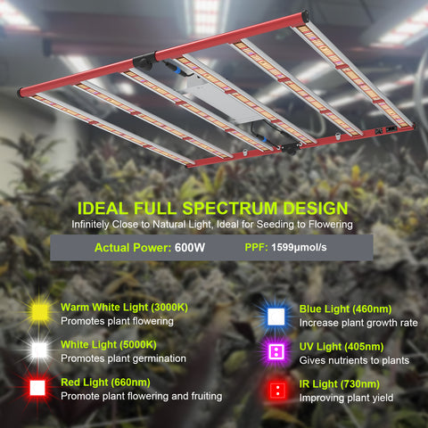 M600 Square - Vollspektrum LED-Growleuchte - The Orange Spot