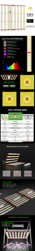 M800 Square - Vollspektrum LED-Growleuchte - The Orange Spot