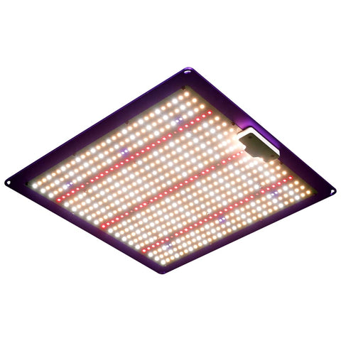 QB240 MultiSpec - Vollspektrum LED-Growleuchte - The Orange Spot
