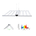 SK1000 - Vollspektrum LED-Growlight - The Orange Spot
