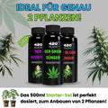 Starter-Set - Dünger (3x500ml)