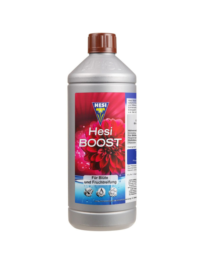 Hesi Boost