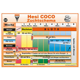 Hesi Coco – Bild 2